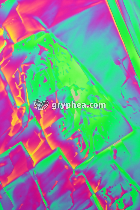 Acide tartrique LPA x25 - gryphea.org